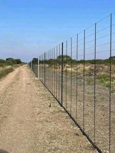 540722963_1361525819312112_8882348183600817514_n