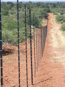 541415457_1361525885978772_8039328387074494910_n